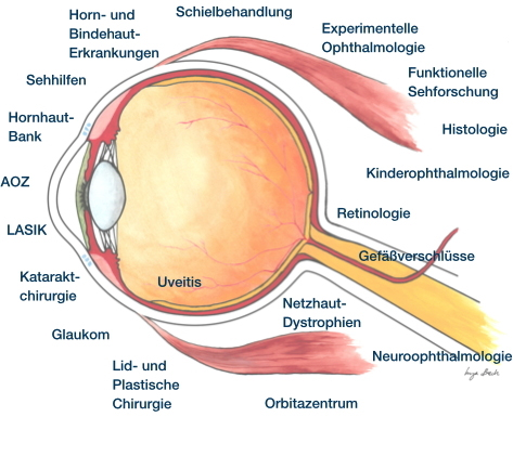 Augenheilkunde Augenheilkunde