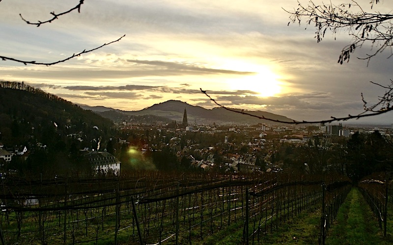 Freiburg - © Werner Deck Freiburg - © Werner Deck