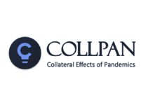 Collateral Effects of Pandemics