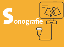 Sonografie