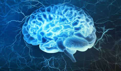 Mikrogliazellen unterstützen Nervenzellen beim Abbau von Fettstoffen. Die Entdeckung dieses Mechanismus eröffnet neue Therapieansätze bei der seltenen, tödlich verlaufenden Sandhoff-Krankheit im Kindesalter. ©Adobe Stock