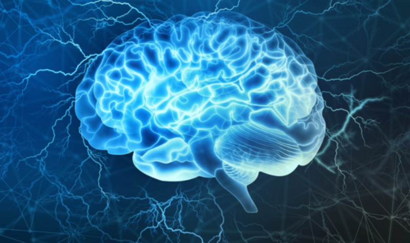 Mikrogliazellen unterstützen Nervenzellen beim Abbau von Fettstoffen. Die Entdeckung dieses Mechanismus eröffnet neue Therapieansätze bei der seltenen, tödlich verlaufenden Sandhoff-Krankheit im Kindesalter. ©Adobe Stock