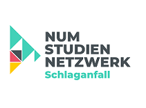 Fachnetzwerk Schlaganfall (SN Stroke)