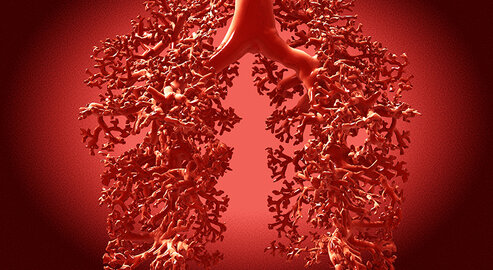 Das Lungenkrebs-Screening richtet sich an Menschen zwischen 50 und 75 Jahren, die aktuell rauchen oder vor weniger als zehn Jahren mit dem Rauchen aufgehört haben. ©Juan Gärtner/Fotolia