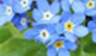 Alternativer Text: Bild 64x110