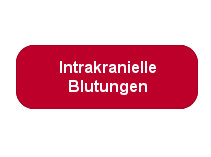 zur Forschung im Bereich Intrakranielle Blutungen