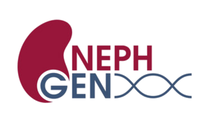 Institut für Epidemiologie und Prävention » Forschung » Projekte » NephGen Institut für Epidemiologie und Prävention » Forschung » Projekte » NephGen