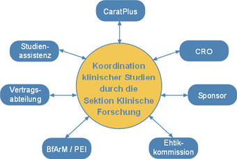 Studienkoordination