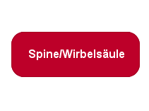 zur Forschung im Bereich Wirbelsäule