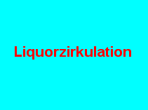 zur Forschung im Bereich Liquorzirkulation