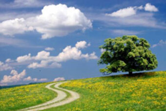 Landschaft, Quelle: fotolia Landschaft, Quelle: fotolia