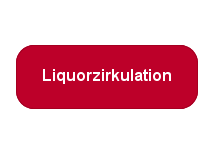 zur Forschung im Bereich Liquorzirkulation