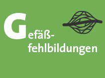 Gefäßfehlbildungen
