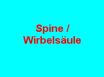 zur Forschung im Bereich Wirbelsäule
