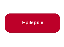 zur Forschung im Bereich Epilepsie