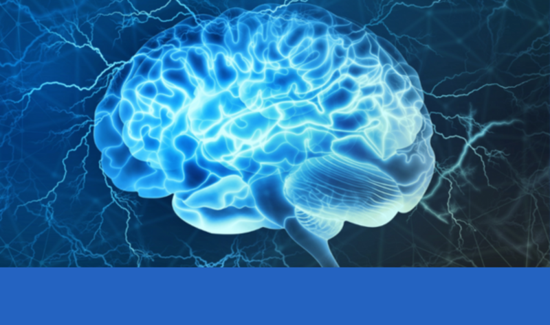 Mikrogliazellen unterstützen Nervenzellen beim Abbau von Fettstoffen. Die Entdeckung dieses Mechanismus eröffnet neue Therapieansätze bei der seltenen, tödlich verlaufenden Sandhoff-Krankheit im Kindesalter. ©Adobe Stock
