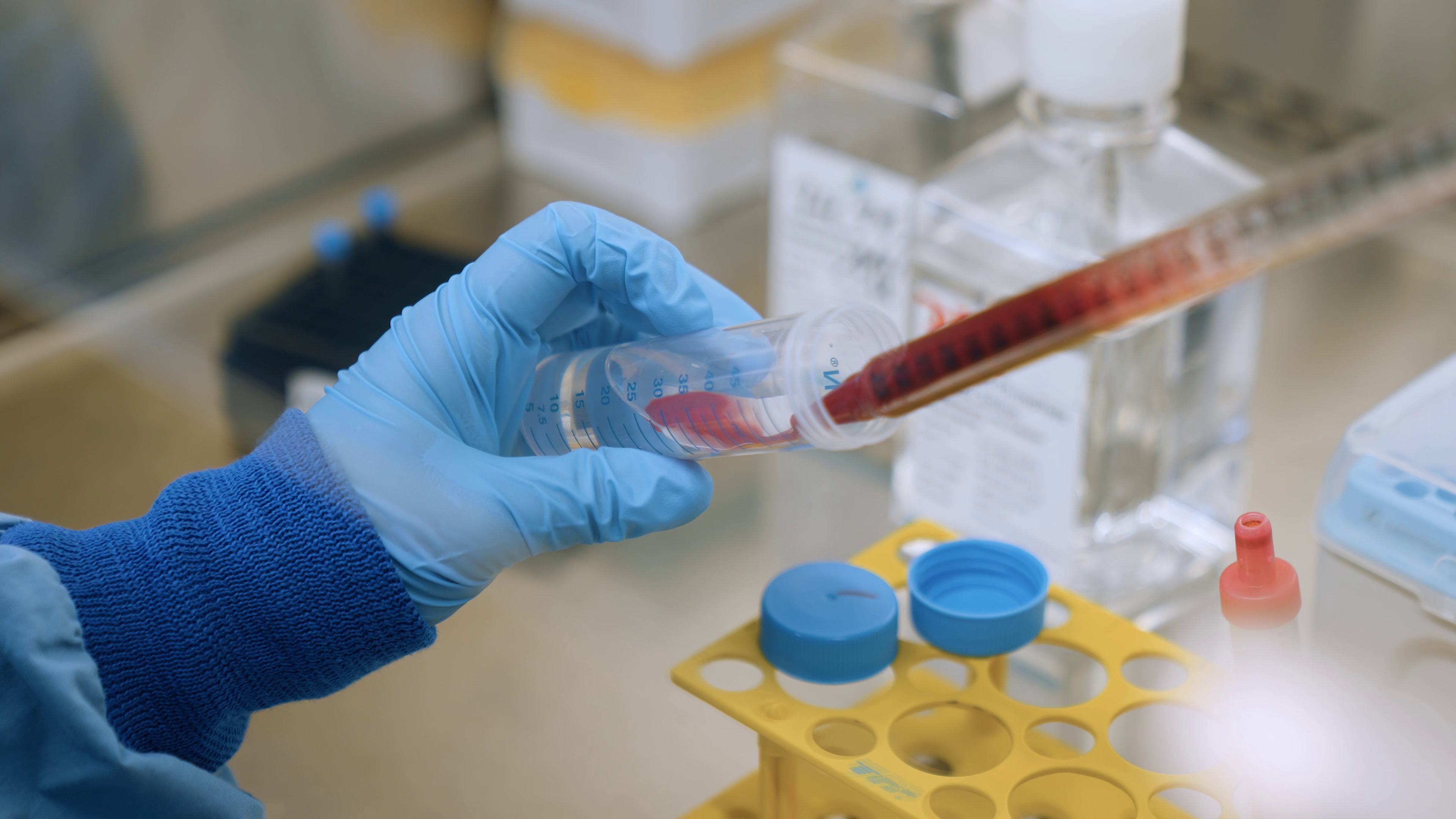 Hand in blauem Handschuh hält Reagenzglas mit roter Flüssigkeit über gelbem Rack im Labor.