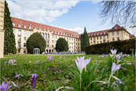 Klinik für Allgemein und Viszeralchirurgie  Universitätsklinikum Freiburg