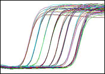 premier biosoft beacon designer 8.02 versions premier biosoft beacon designer 8.02 versions