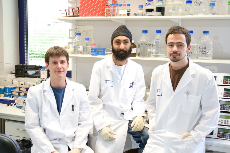 Cumulative thesis uni freiburg image